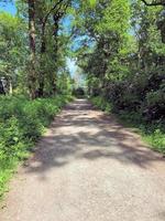 uma vista da zona rural de cheshire perto de knutsford no verão foto