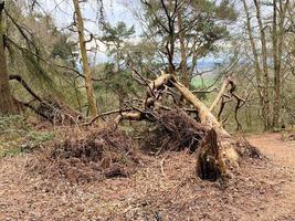 uma vista da zona rural de cheshire em peckforton hills foto