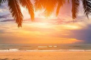 belo pôr do sol sobre o mar com coqueiro no horário de verão foto