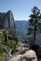 bela paisagem do parque nacional de yosemite foto