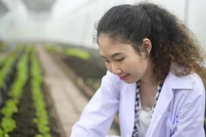 agrônoma asiática trabalhando em uma estufa, vegetal orgânico e conceito de agricultura foto