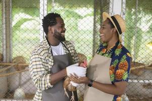 feliz casal de agrônomos negros desfrutando e trabalhando em terras agrícolas, conceito de agricultura foto