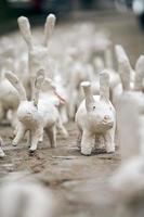 estátuas de coelho branco feitas de gesso na exposição de arte ao ar livre, lebres brancas engraçadas na rua foto