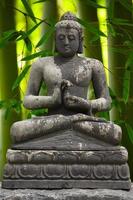 estátua de Buda cinza com fundo de bambu