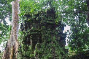 complexo de angkor wat foto