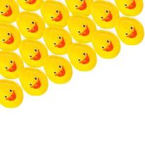 grupo de patos de borracha amarela