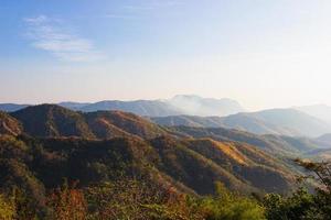 plantas e flores silvestres na montanha, vista para as montanhas na província de phetchabun, tailândia. foto