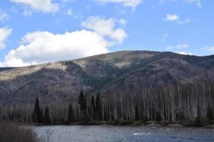 taiga intransitável na margem do yenisei foto