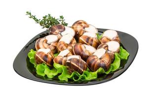 caracóis escargot em um prato com alface foto