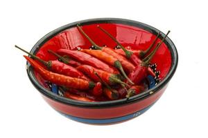 pimenta malagueta vermelha foto