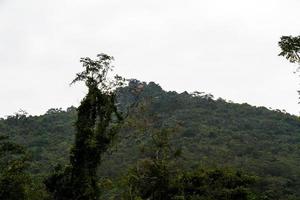 selva chinesa, ilha de hainan foto