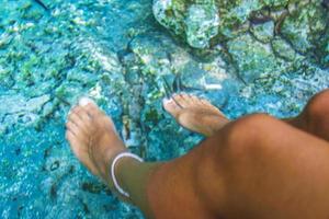 peixes mordem os pés na água cenote tajma ha méxico. foto