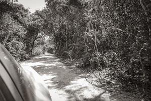 dirigindo na estrada de caminho de cascalho em tulum selva natureza méxico. foto