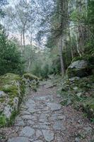 trilha no vale madriu perafita claror em andorra, patrimônio mundial da unesco foto