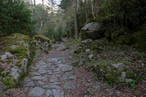 trilha no vale madriu perafita claror em andorra, patrimônio mundial da unesco foto