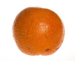 laranja isolado em um fundo branco foto