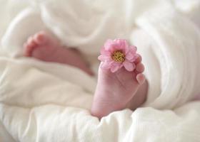 pés de bebê foto