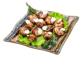 caracóis escargot em um prato foto