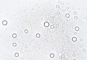 gotas de água no fundo branco foto
