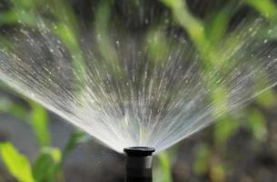 sistema de irrigação molhando a planta verde foto