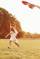 foto vertical. garota feliz em roupas brancas divirta-se com pipa no campo. natureza bela