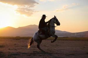 criação de cavalos no campo kayseri, turquia foto