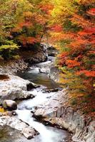 cores de outono do vale foto