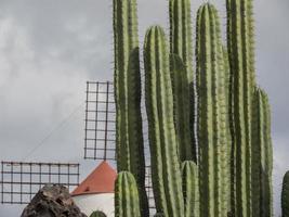 ilha de lanzarote na espanha foto