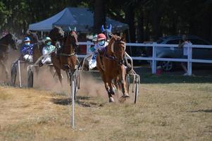 hipódromo 09 de agosto de 2020 em Sault, França foto