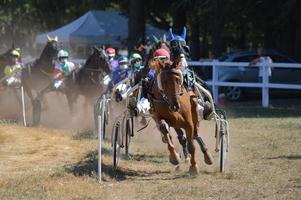 hipódromo 09 de agosto de 2020 em Sault, França foto