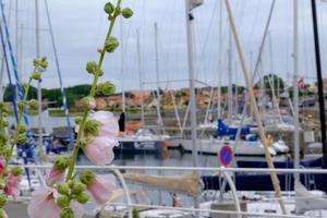 svaneke na ilha de Bornholm foto