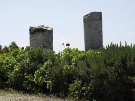 a cidade de tunis na tunísia foto