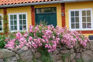 svaneke na ilha de Bornholm foto