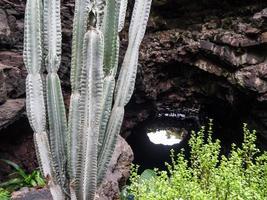 ilha de lanzarote na espanha foto