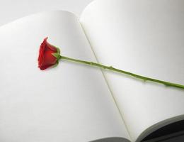 linda rosa vermelha no livro isolado foto