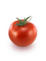 tomate isolado em um fundo branco foto