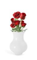 rosas vermelhas em vaso no fundo branco foto