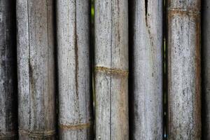 a superfície da parede da placa de bambu para o fundo. bambu seco velho com uma textura detalhada. foto