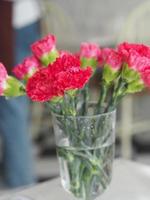 flor de cravo rosa em um copo de água na mesa de mármore foto