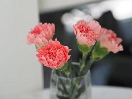 flor de cravo rosa em copo de água em cima da mesa foto