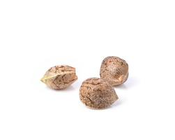 cannabis medicinal sativa, sementes de maconha isoladas no fundo branco. foto