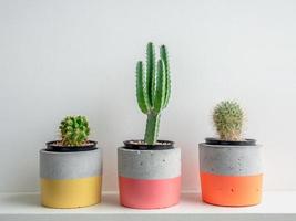 plantadores de concreto geométricos modernos. lindos vasos de concreto pintados. foto