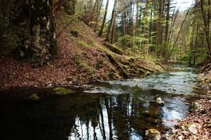 Rio das cavernas punkva, cárstico da Morávia, República Tcheca. foto