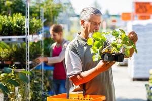 último homem comprando plantas de morango em um centro de jardinagem