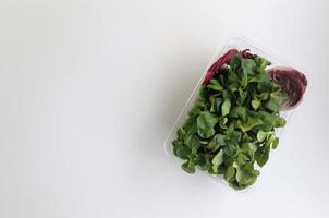 salada de milho e verduras de salada de radicchio em um recipiente em um fundo branco foto