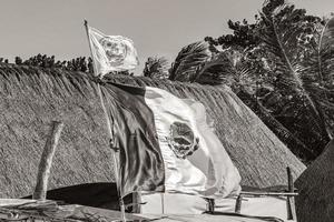 holbox quintana roo méxico 2021 mexicano verde branco bandeira vermelha na bela ilha holbox méxico. foto