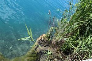 belas margens do lago bled na eslovênia foto