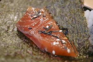 shoyu marinado cru de salmão fresco. foto