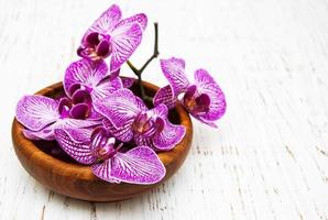 tigela com orquídeas foto