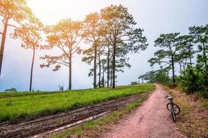 campo de estrada de terra na floresta de pinheiros de colina com bicicleta - bicicleta de montanha de estrada rural empoeirada foto